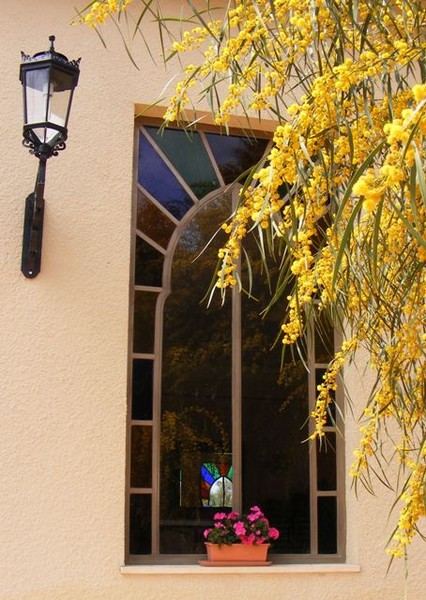 MIMOSA WINDOW