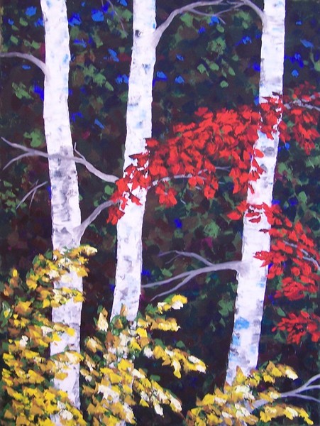 Evening Birches