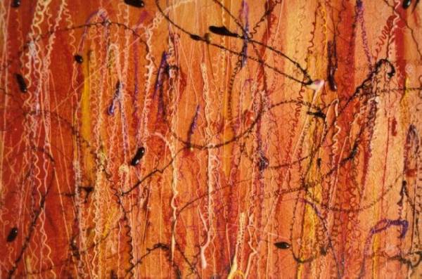Wood On Fire (Detail)