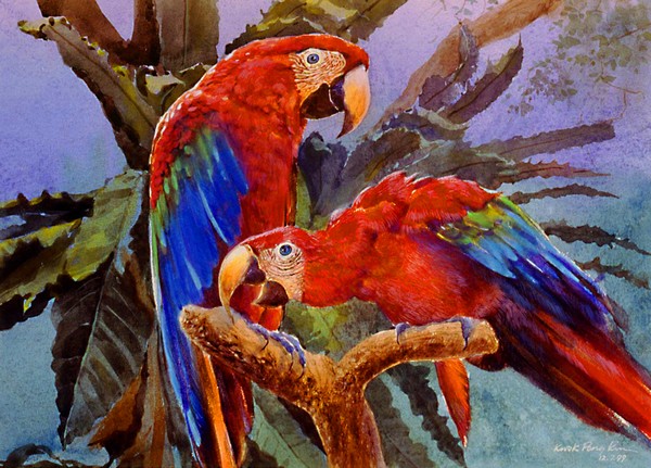 Red & Green Macaws