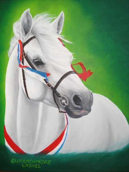 Currachmore Cashel II