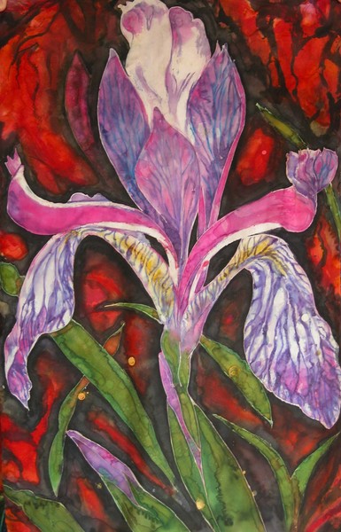 Wild Iris