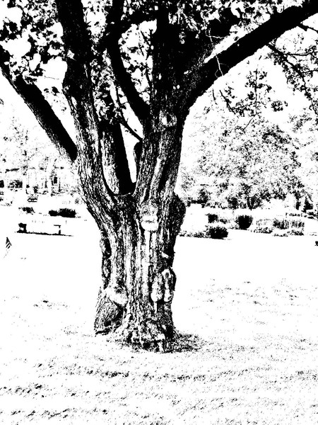 Cemetary Spirits-3