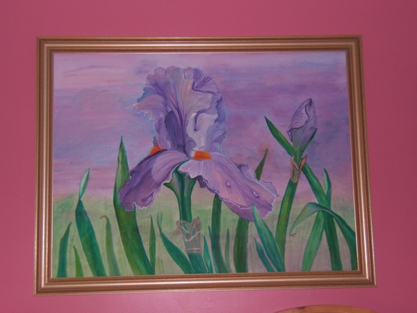 Purple Iris