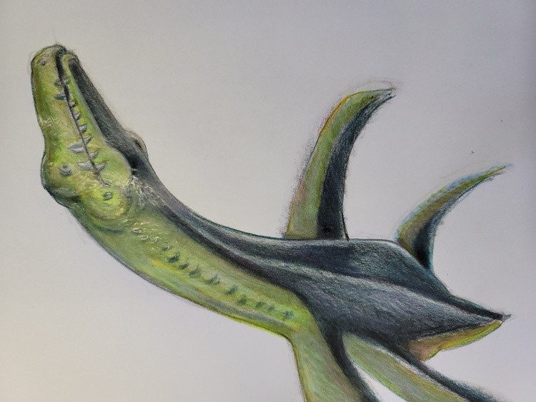 Pleisosaurus II 