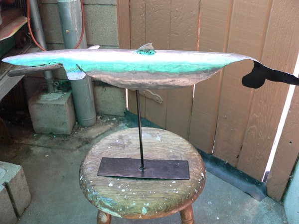 blue whale feeding