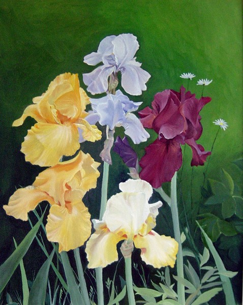 Irises