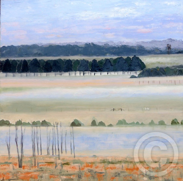 Morning mist over the Top Paddock