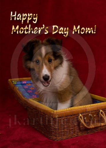 Mother's Day Mom Puppy 917985