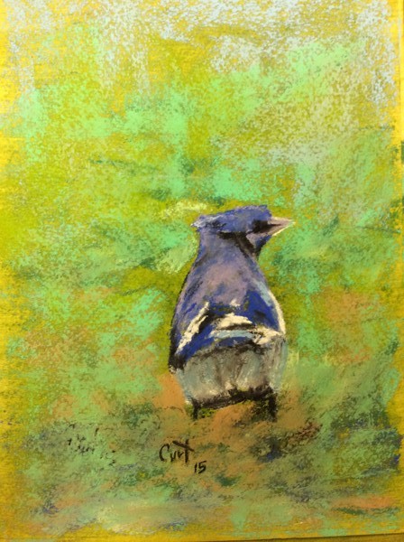 Garden blue jay