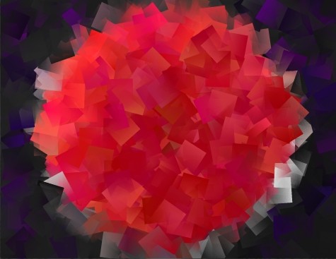 Chrysanthemum