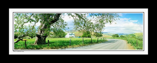 1049 21 California coast Card