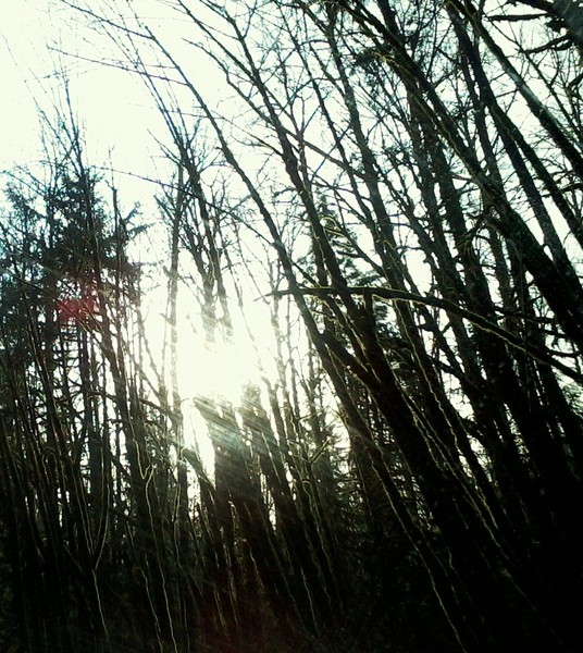 New Hope