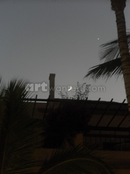 Moon