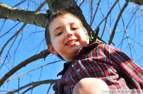 Eli E. in a tree.