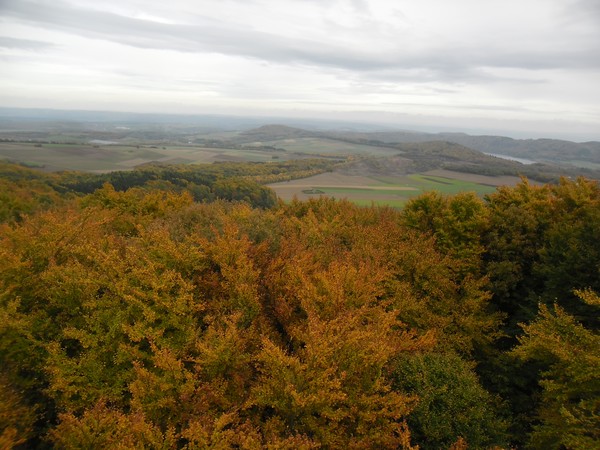 Eifel 15
