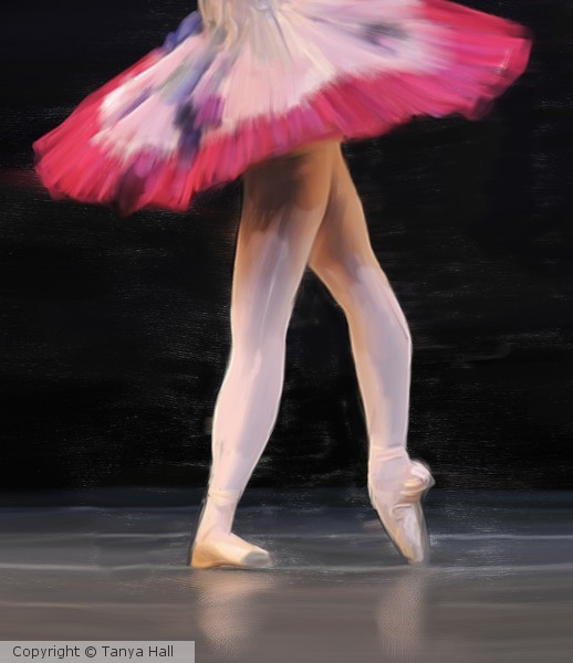 Ballet Slippers