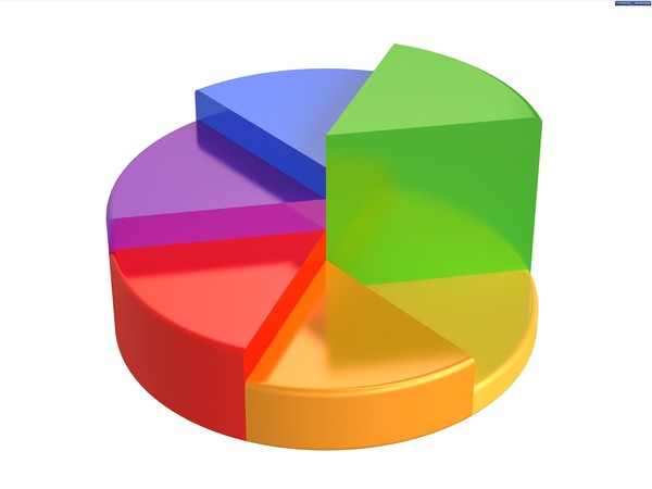 Exploring the Pie Chart