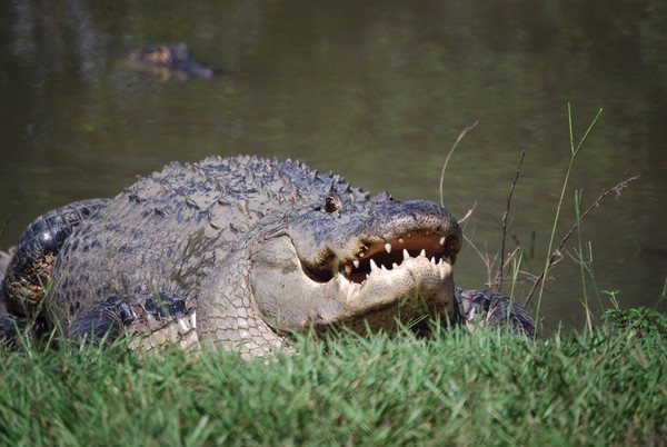 Smile!