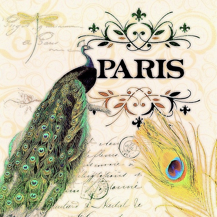 peacock paris dragonfly