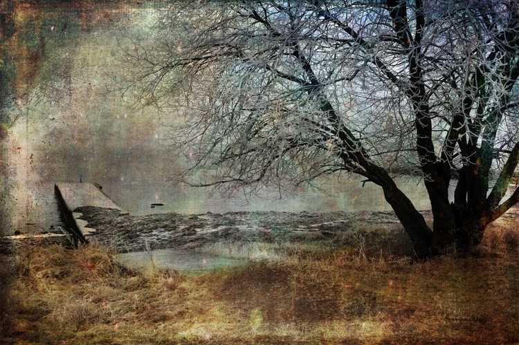My Own World