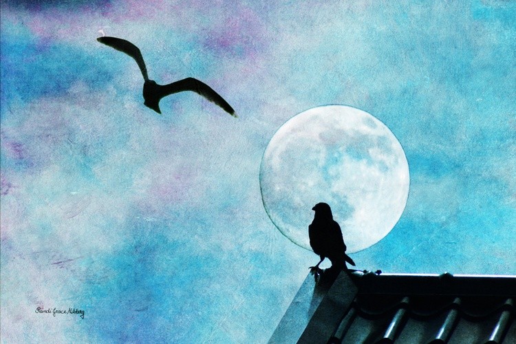 Night on the Roof
