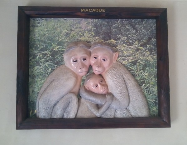 wildlife wooden frame