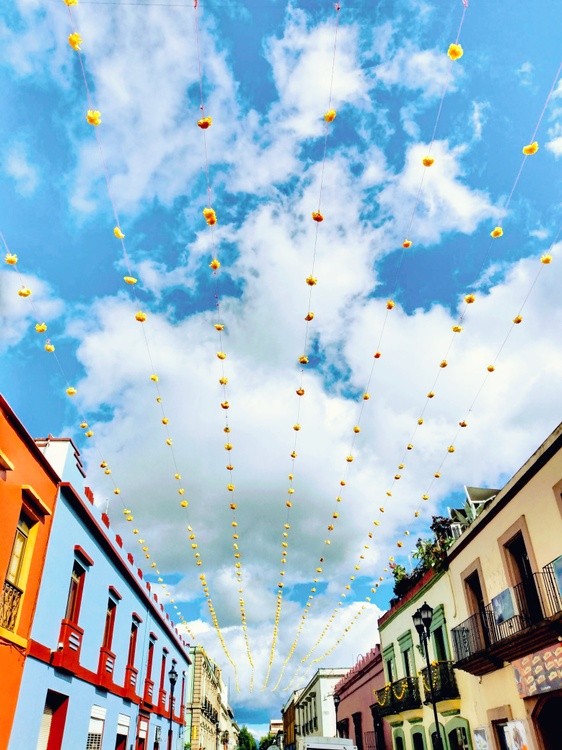 Karen Muro Oaxaca calles