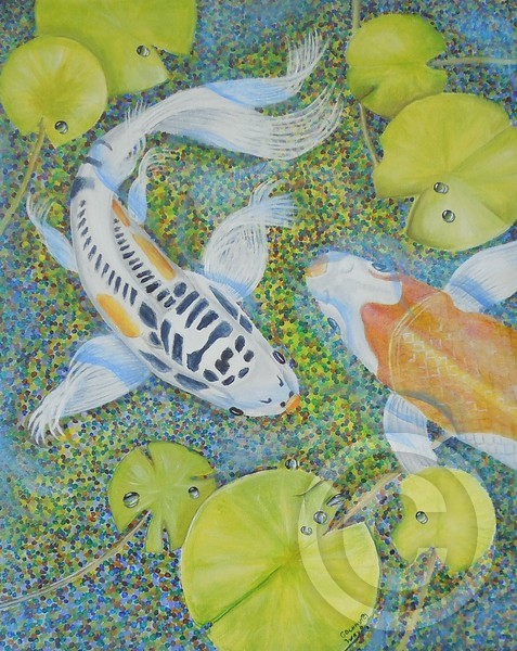 Koi Pond