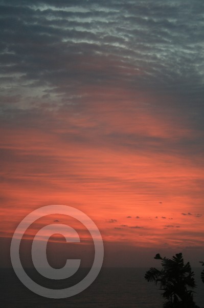 Ribbed Cirrus cloud at dawn