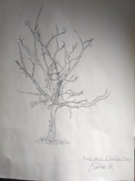 Tree On A Cloudy Day