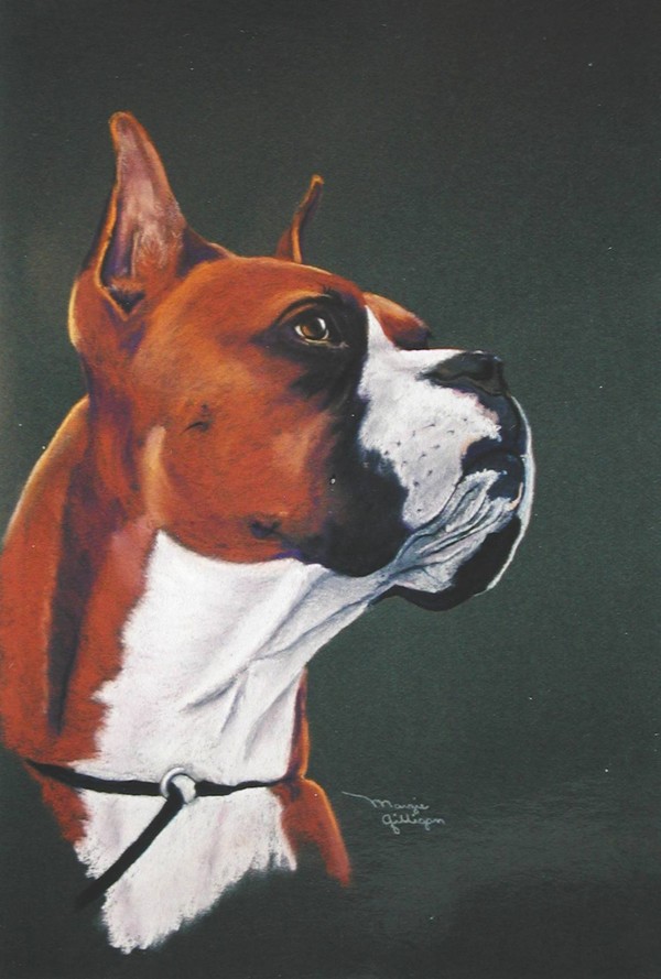 Boxer