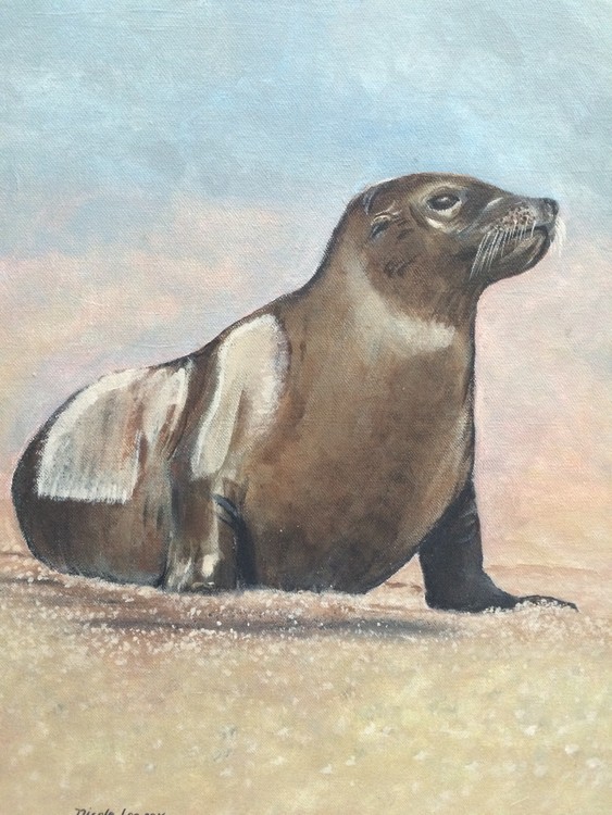 One dignified Seal