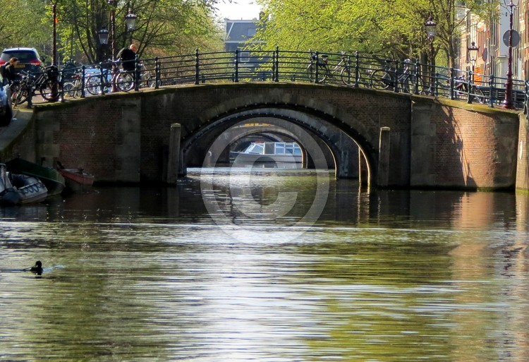 64 IMG 2262