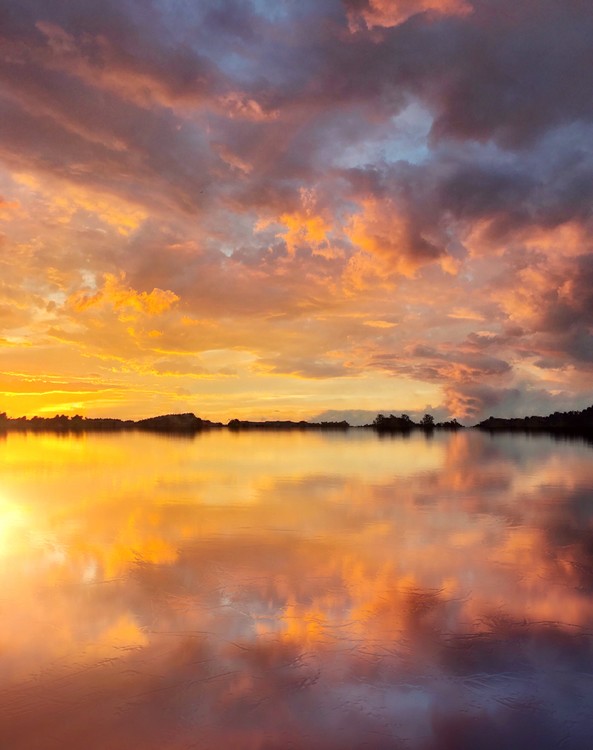 Sky Wide Open 