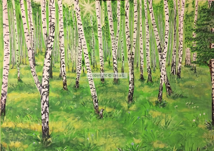 Charming Birches