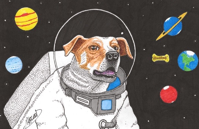 where id go for a milkbone