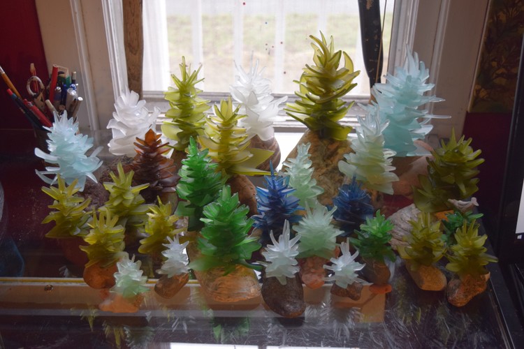 beach glass conifers
