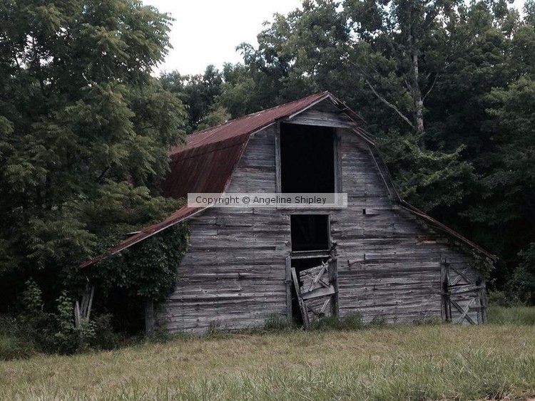 Barn