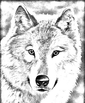 pencil_sketch_1516794255977.jpg