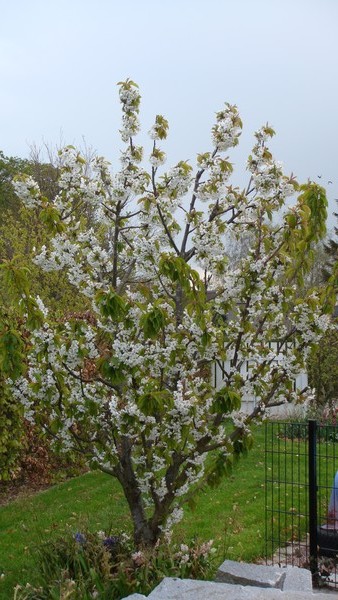 The time of year
