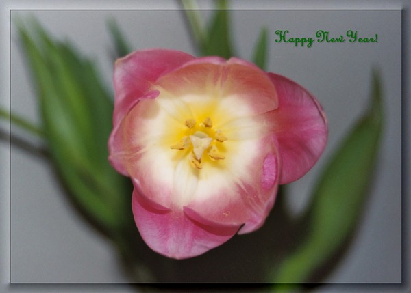 Happy New Year Artwanted Friends!