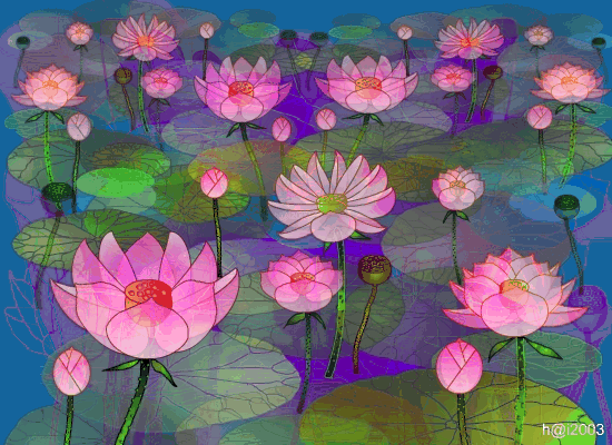 Lotus@rt5