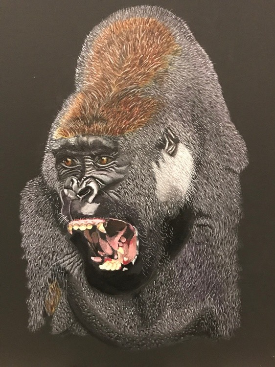 LAUGHING GORILLA