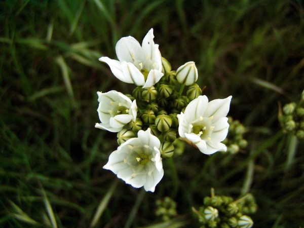 Small Treasures