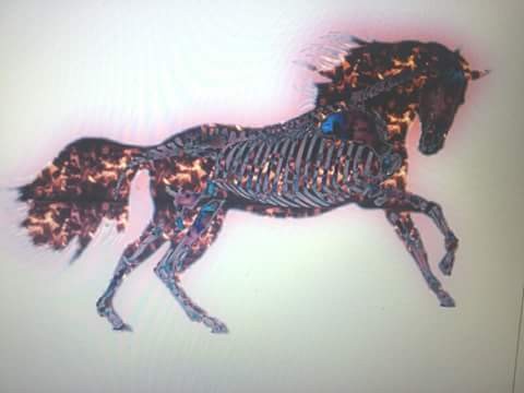 War - red horse of the Apocalypse