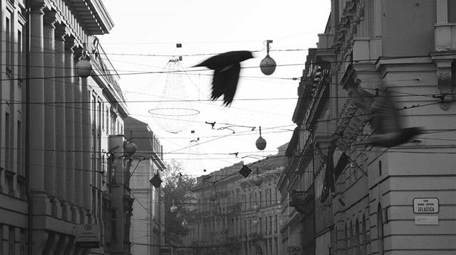 Movement in autumnarchitecture photography photographer croatia travel eyeem bw bwphotography street