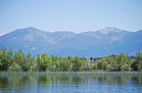 By the lake