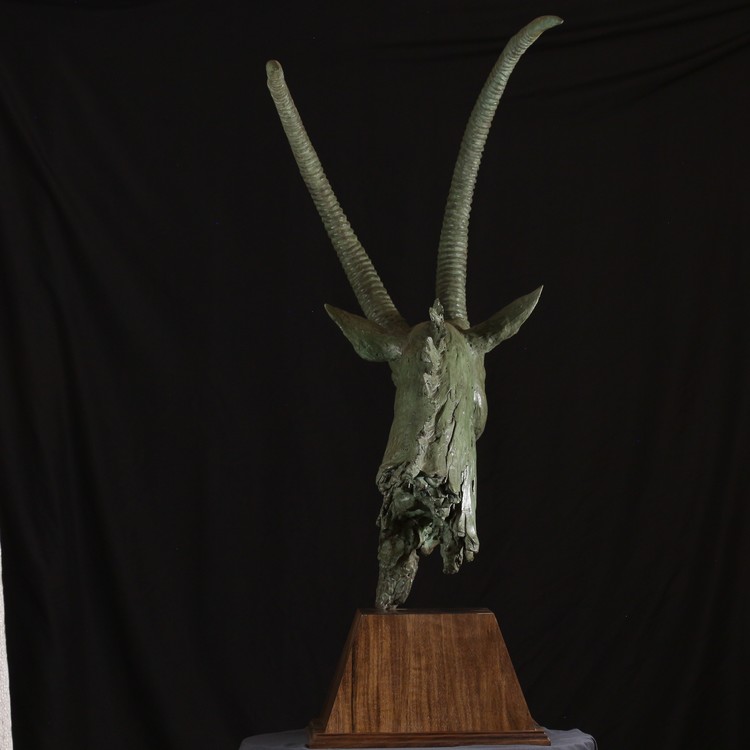 SABLE ANTELOPE BUST