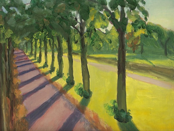 Lines of shade